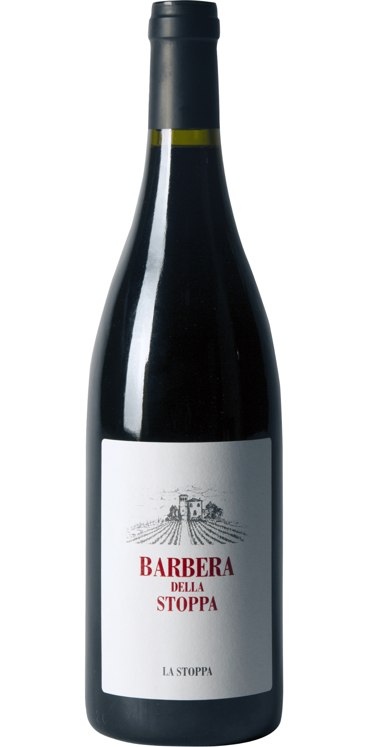 Barbera 06 Magnum