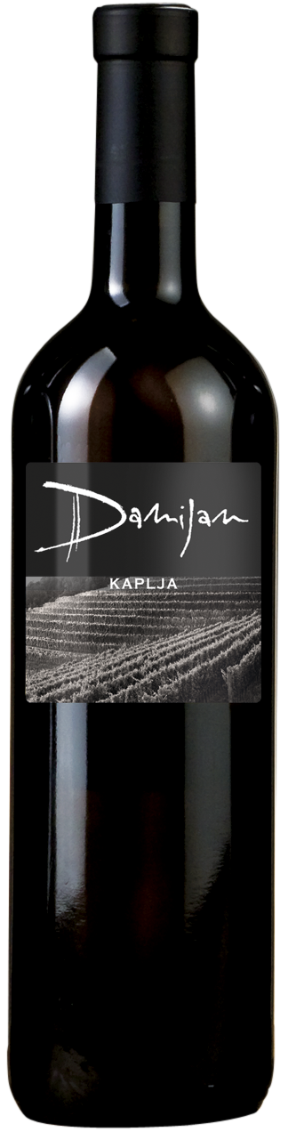 Kaplja 11
