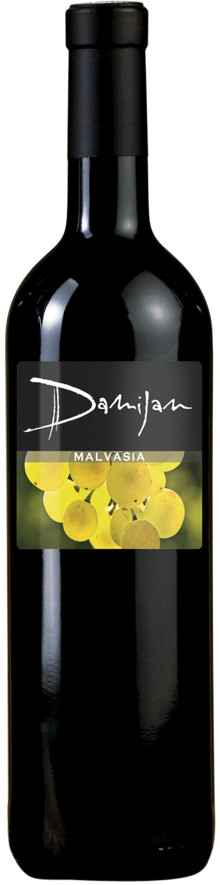 Malvasia 11
