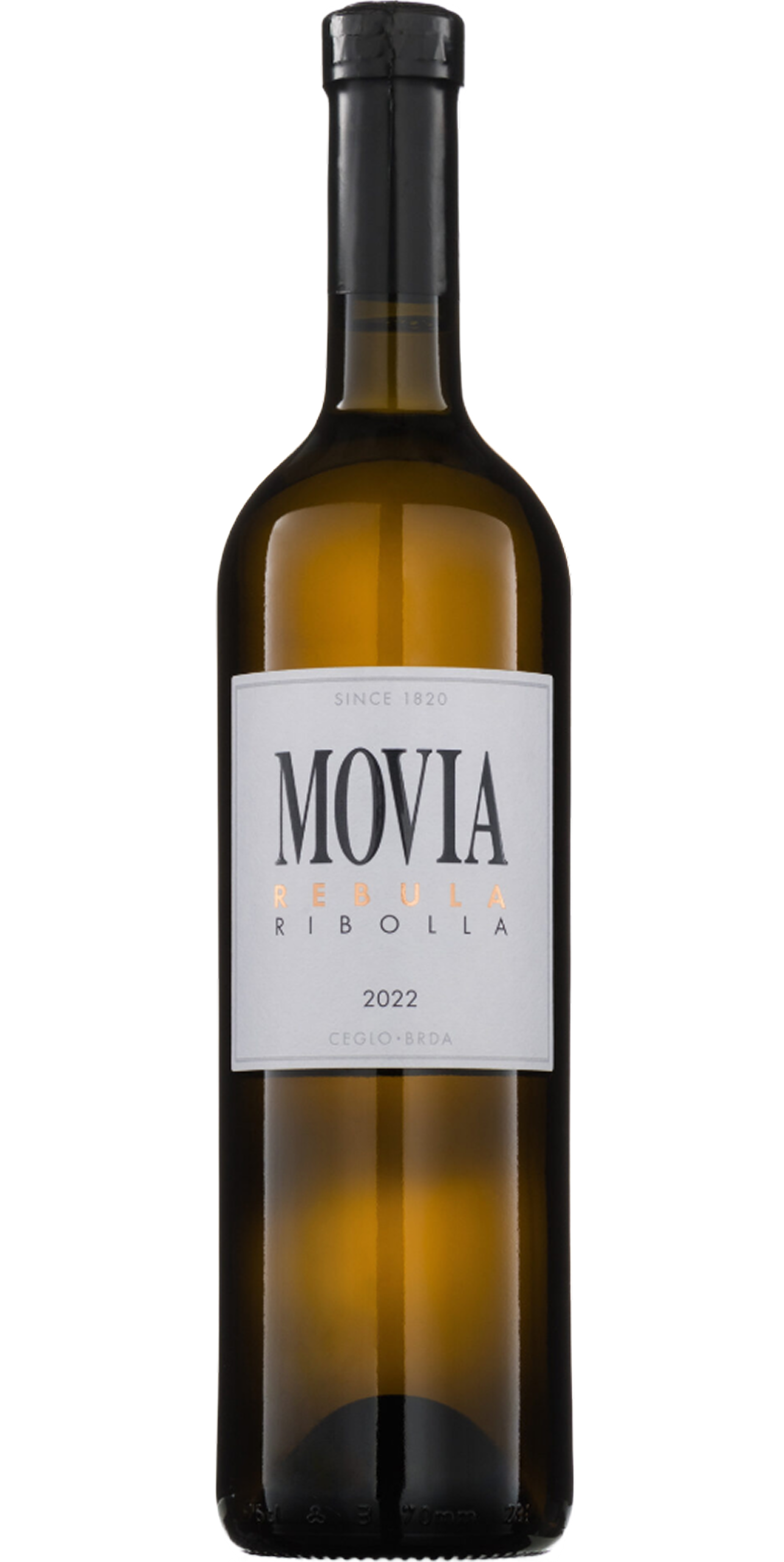 Ribolla 22