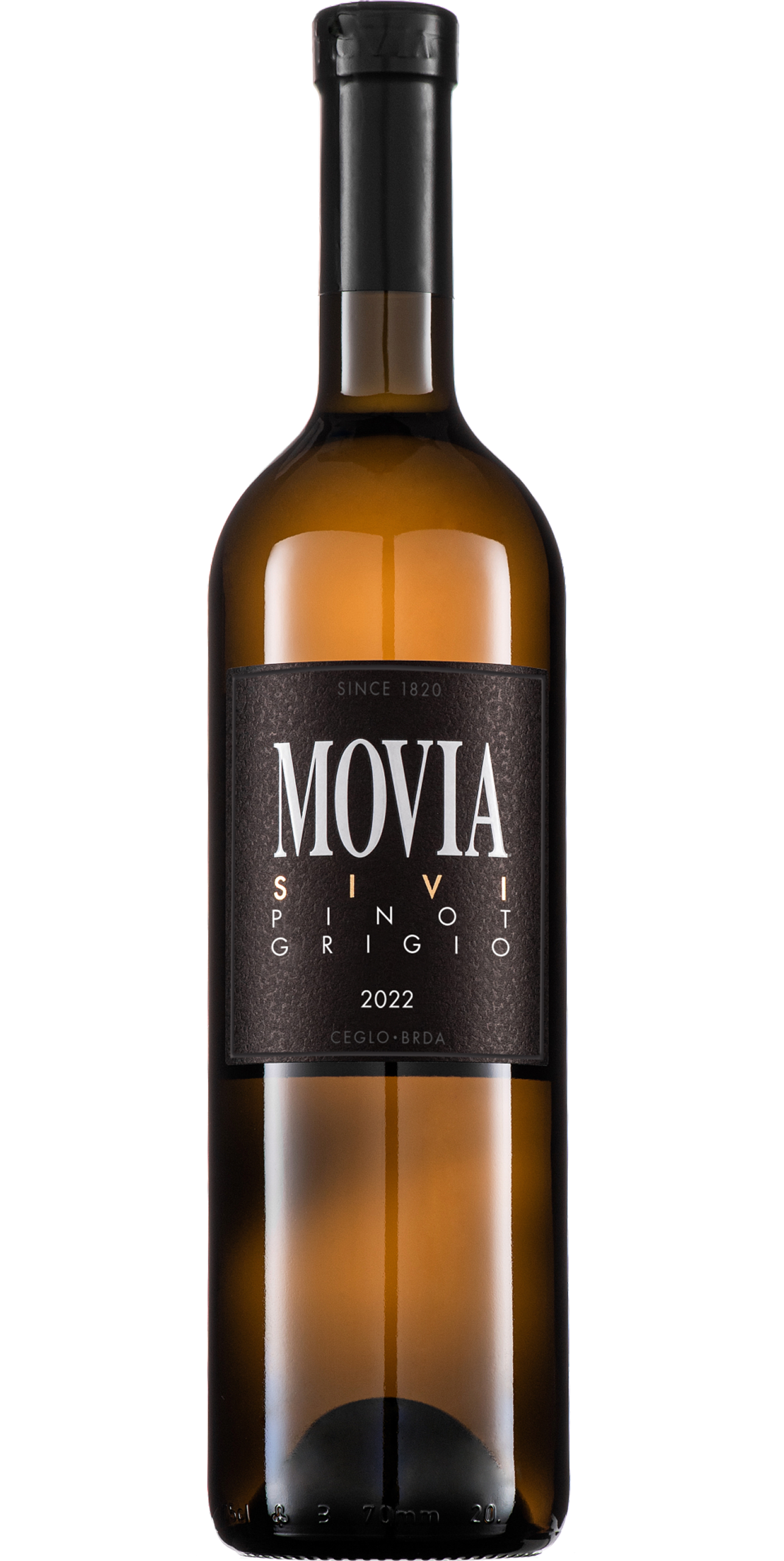 Sivi Grigio 22